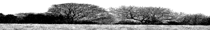 Northcape News Blog