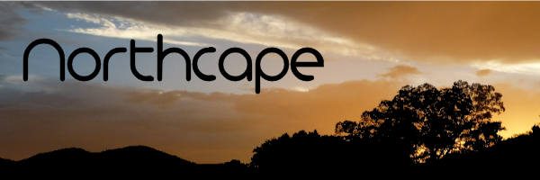 Northcape make warm, genre-defying electronic music mixing downtempo melodic electronica, ambient and chilled IDM.